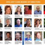 board members