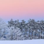 slider_01