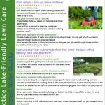 guidlines-pic