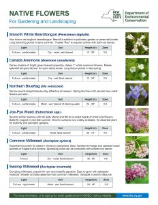 factnatives_Page_01